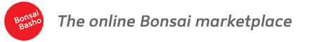 Sponsored by BonsaiBasho - Online Community, Trading, Auctions, Bonsai Blogging and Free Reference Library
