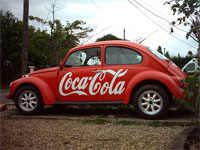 Coca Cola Beetle