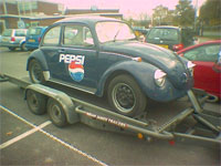 Pepsi Beetle